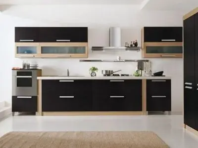 Electrocasnice complet încorporate în mobilierul minimalist